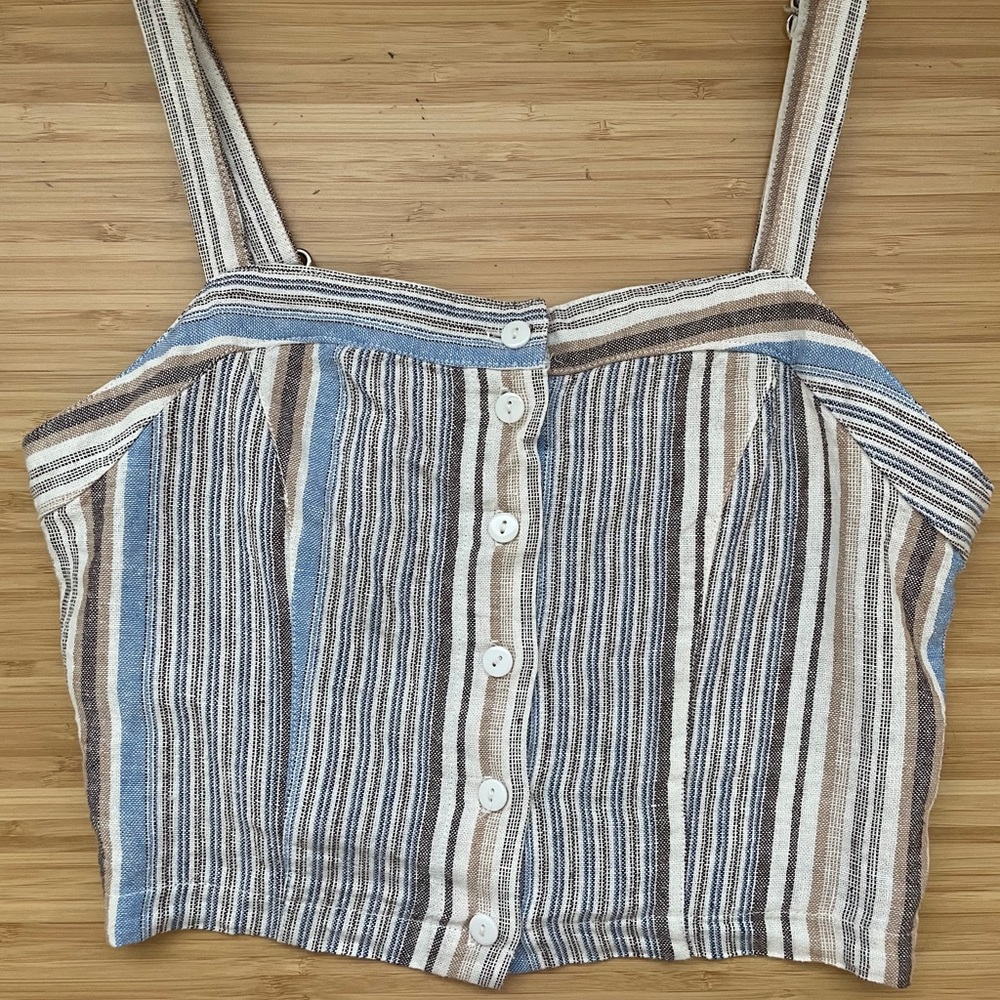 Lira Blue & Brown Striped Button-Front Crop Top